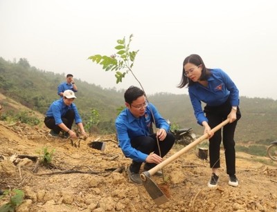 Tuổi trẻ Hoà Bình ra quân phát động trồng 525 nghìn cây xanh