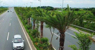 Hai nguyên Phó Chủ tịch UBND TP Hà Nội bị đề nghị xử lý trong vụ 'thổi giá cây xanh'