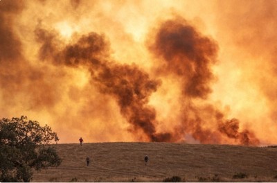 Cháy rừng tại Tây Ban Nha thiêu rụi 4.300ha rừng, 1.800 người phải sơ tán