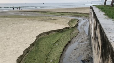 Đà Nẵng: Nước thải gây ô nhiễm tại bãi biển Mân Thái