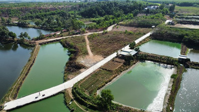 Đồng Nai: Yêu cầu xử lý sai phạm đất đai tại huyện Trảng Bom