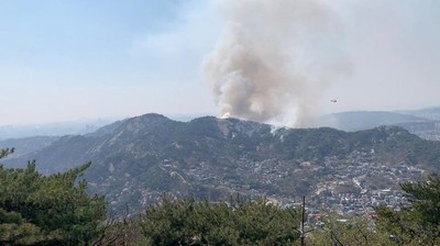 Hàn Quốc huy động mọi nguồn lực dập tắt cháy rừng