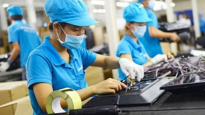 Bà Rịa-Vũng Tàu tìm giải pháp thu hút đầu tư vào các khu công nghiệp