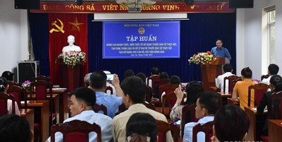 Lào Cai: Tập huấn nâng cao nhận thức, kiến thức bảo vệ môi trường cho nông dân