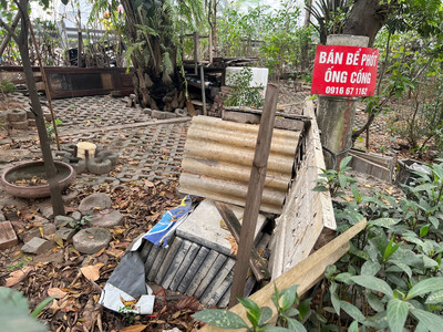 Hà Nội: Hành lang đường Vành đai 2 bị rác thải tấn công