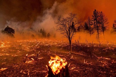 Cháy rừng ở Bắc bán cầu khiến lượng CO2 tăng mạnh