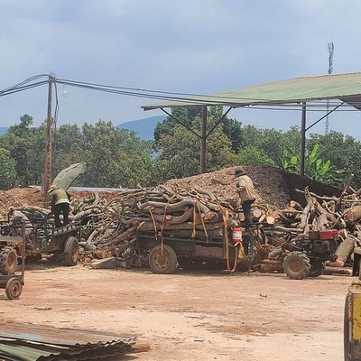 Cận cảnh nhà máy sản xuất viên nén gỗ gây ô nhiễm môi trường