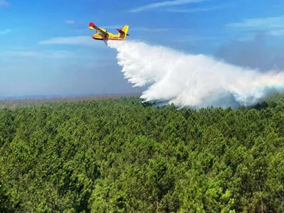 Pháp tăng cường biện pháp phòng chống cháy rừng cho mùa hè tới