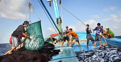 Thủ tướng yêu cầu tập trung thúc đẩy sản xuất nông sản, chống khai thác hải sản bất hợp pháp