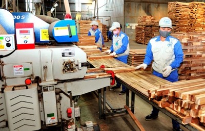 Doanh nghiệp kiến nghị thành lập cụm công nghiệp của ngành gỗ
