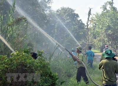 Cà Mau: Rừng U Minh Hạ cảnh báo nguy cơ cháy cực kỳ nguy hiểm