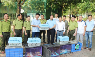 Vườn Quốc gia Vũ Quang thả 150 động vật về môi trường tự nhiên