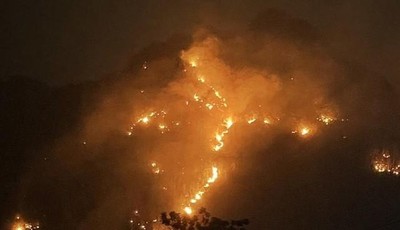 Sơn La: Huy động hơn 200 người tham gia dập tắt cháy rừng phòng hộ