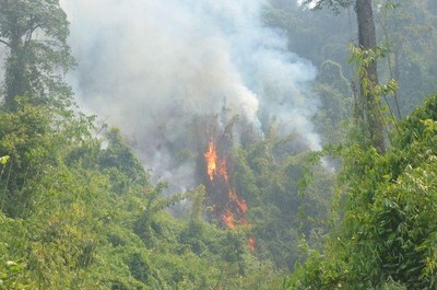 Nỗ lực dập tắt các đám cháy rừng tại Lào
