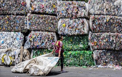 Mẫu biểu thực hiện trách nhiệm tái chế sản phẩm, bao bì và xử lý chất thải nhập khẩu