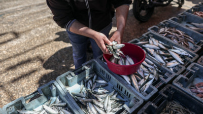 Israel chuẩn bị ra mắt thị trường loại cá từ công nghệ in 3D