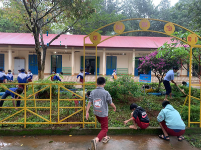 Đắk Nông: Rà soát cây xanh trường học bảo đảm an toàn cho học sinh mùa mưa bão