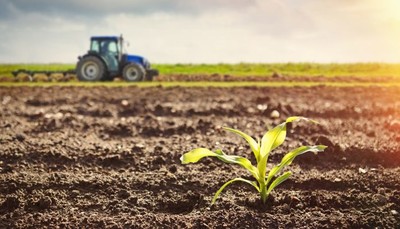 Điều kiện để được cho thuê, cho thuê lại quyền sử dụng đất nông nghiệp?