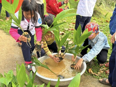 Giáo dục học sinh miền núi ở Quảng Nam bảo vệ môi trường rừng