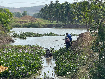 Hàm Thuận Bắc: Phát dọn các tuyến kênh tiêu, thoát lũ vào mùa mưa