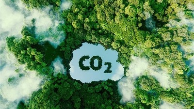 Việt Nam sẽ vận hành chính thức sàn giao dịch tín chỉ carbon vào năm 2028