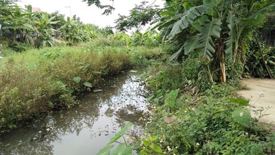 Đà Nẵng: Gần 20 năm “chung sống” với ô nhiễm