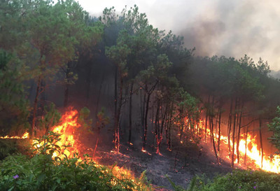Thanh Hóa: UBND tỉnh ra công điện khẩn về phòng cháy, chữa cháy rừng