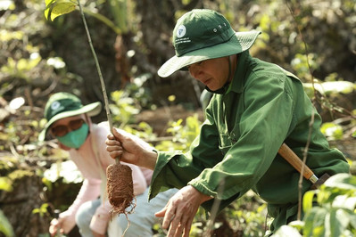 Tỉnh Sơn La đã tổ chức chương trình “Vá rừng trên núi đá"