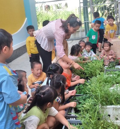 Long An: Phát triển mô hình "Vườn rau của bé" tại TP Tân An