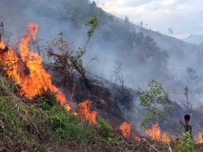 Quảng Bình: Ra công điện thực hiện các biện pháp cấp bách phòng cháy chữa cháy rừng