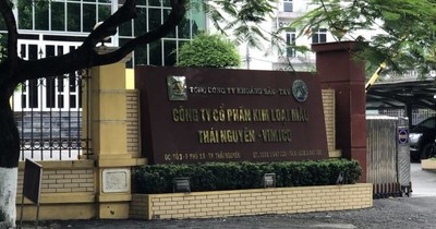 Công ty CP Kim loại màu Thái Nguyên - Vimico bị phạt gần 450 triệu do vi phạm về môi trường.