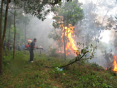 Bắc Giang triển khai các biện pháp cấp bách phòng cháy, chữa cháy rừng
