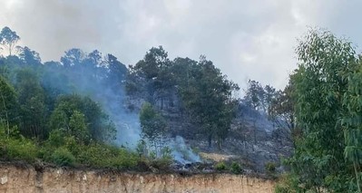 Uông Bí: Cháy rừng ở Hồ Yên Trung, 1 người tử vong