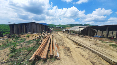 Đắk Lắk: Người dân vùng dự án Krông Pách Thượng chờ đất sản xuất