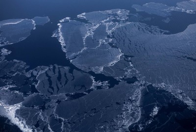 Bắc Cực có thể không còn băng trong 10 năm nữa