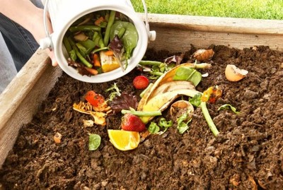 Xử lý rác thải hữu cơ làm thức ăn cho trùn quế - Lợi cả đôi đường
