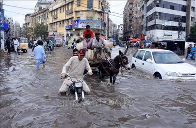 Pakistan: 27 người thiệt mạng do mưa lớn và gió mạnh