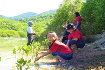 40 học sinh tham gia trải nghiệm trồng rừng ngập mặn