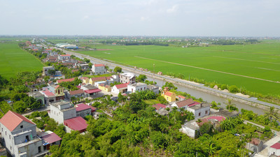 Sắp đấu giá gần 200 lô đất ở Nam Định, khởi điểm từ 2 triệu đồng/m2