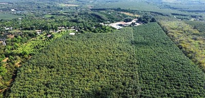 Đồng Nai: Hơn 32ha đất rừng được đề xuất chuyển mục đích phục vụ tái định cư