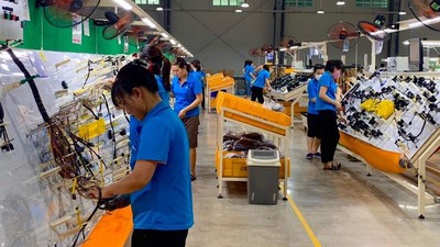 Các cụm công nghiệp ở Ninh Bình giải quyết việc làm cho hơn 30.800 lao động