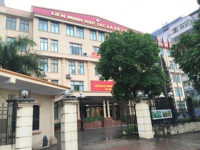 Ban Bí thư kỷ luật Cảnh cáo Đảng đoàn Liên minh Hợp tác xã Việt Nam