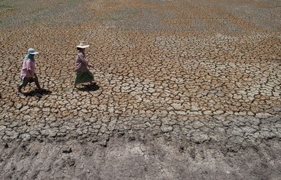 Thái Lan: Chính phủ họp hàng tuần để ứng phó với hạn hán do El Nino