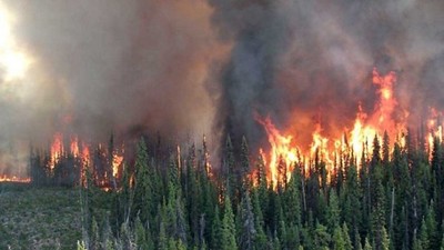 Canada: Cháy rừng nghiêm trọng ảnh hưởng tới chất lượng không khí