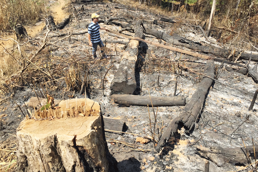 Gia Lai: Ban Quản lý rừng phòng hộ Mang Yang nhận khuyết điểm vì để xảy ra phá rừng