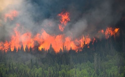 Canada: Khói từ các đám cháy rừng lan sang tới châu Âu