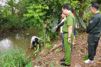 Hà Nam: Một doanh nghiệp bị xử phạt 2,6 tỉ đồng vì xả nước thải chưa qua xử lý