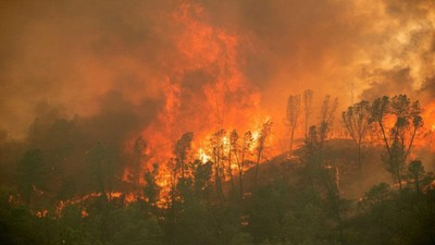 Mỹ: Hơn 1000 người phải đi sơ tán do cháy rừng nghiêm trọng
