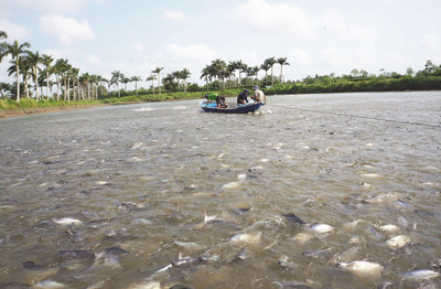 Quản lý tài nguyên nước vùng Đồng bằng sông Cửu Long trong bối cảnh biến đổi khí hậu