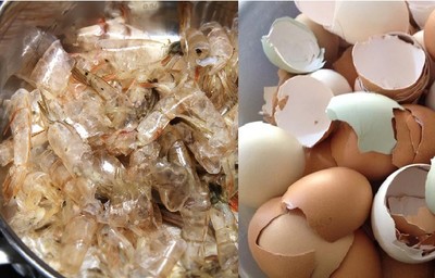 Sản xuất phân bón sinh học từ vỏ trứng và vỏ đầu tôm